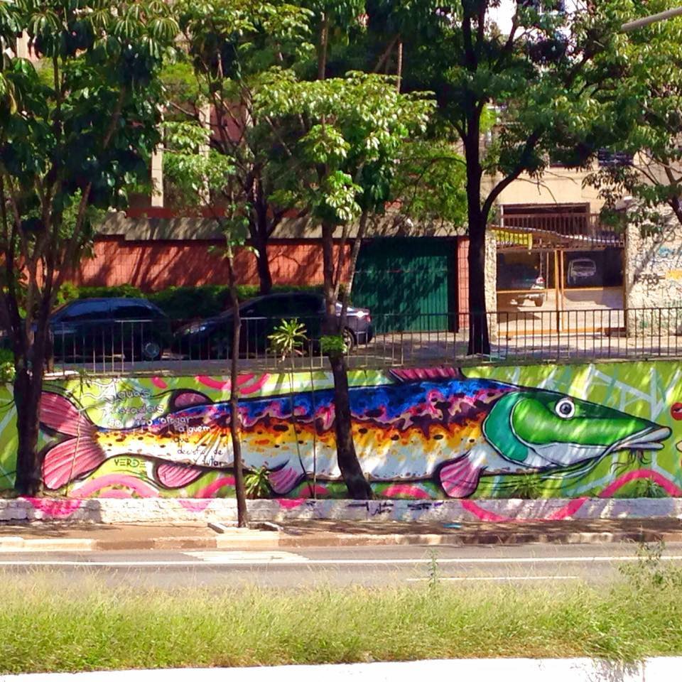 gustavo cortelazzi verde graffiti sp street art dionisio arte (9)