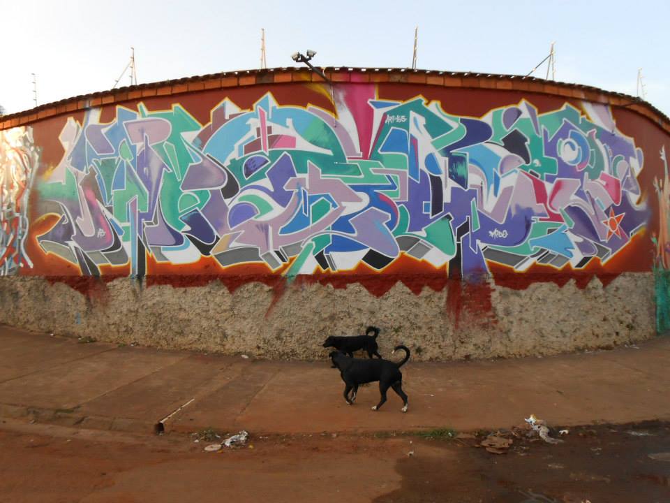 paulo medo graffiti street art bomb throw up wild style limeira sp dionisio arte (9)