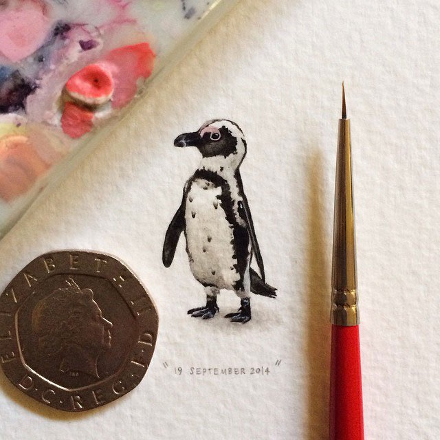 Lorraine-Loots-dessins-fourmis-38