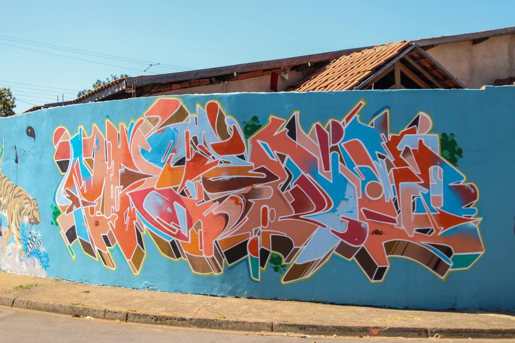 paulo medo graffiti street art bomb throw up wild style limeira sp dionisio arte (2)